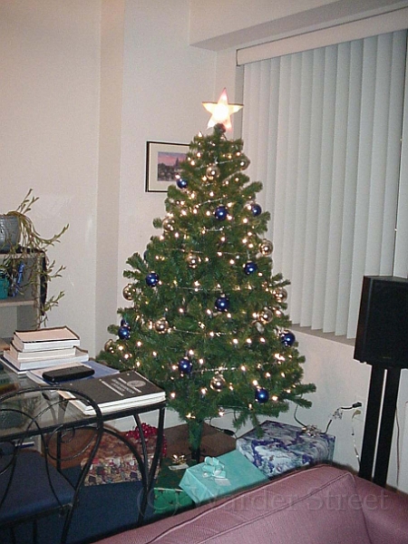 Taylor And Ericas Xmas Tree 2000 1.jpg